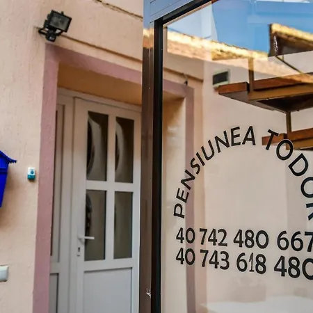 Pensiunea Todor Πανσιόν *