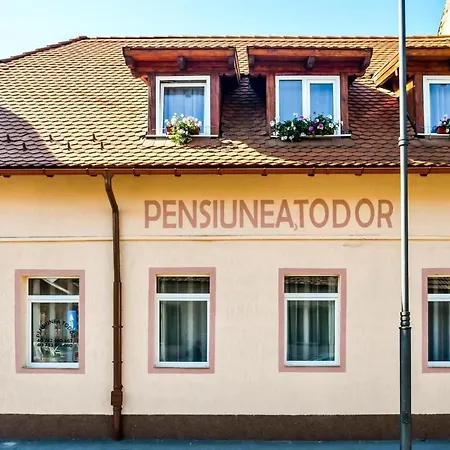 Πανσιόν Pensiunea Todor
